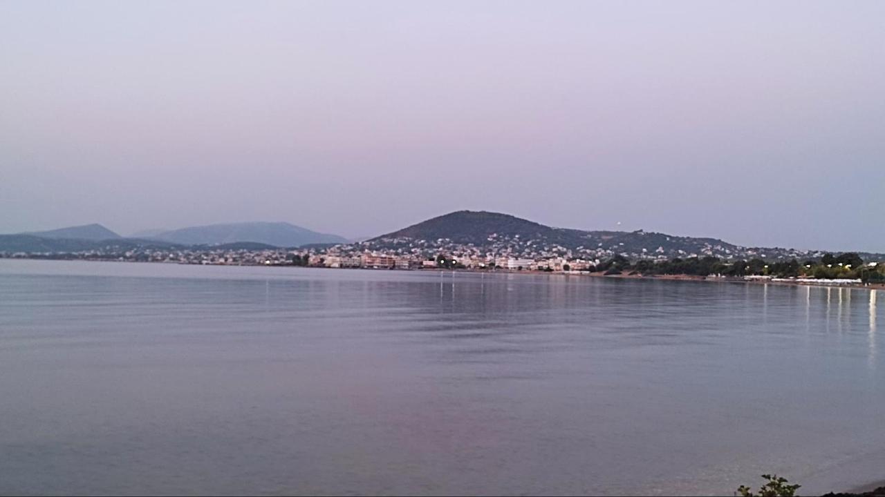 Beautiful Choice - Near Athens Airport - 50M From The Sea - Iq+ Apartment Artemida  Exterior photo